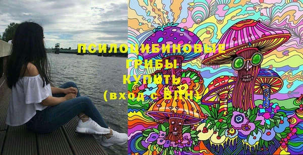 синтетический гашиш Алексеевка