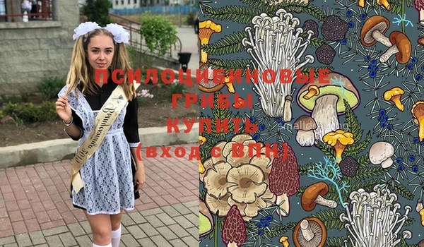 синтетический гашиш Алексеевка