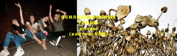 твердый Алексин